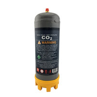 Disposable Gas Bottle PURE CO2 - 2.2 Litre - Combo Kit MIG