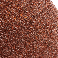 Klingspor 125mm Velcro Backing Sanding Disc Pad PS 22 K  5" 40 Grit - No Dust Holes - 50 Each