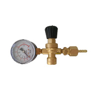 Food Grade Co2 Gas Bottle Regulator Kit - 2 Bottle Combo