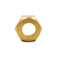 Co2 Type 30 Inlet Nut