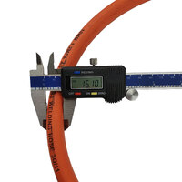 LPG Hose with Fittings - 10mm - 5 Meter