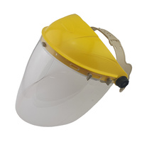 Brow Guard with 2mm Anti Fog Lens Shield - Head and Face Protection