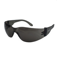 24 Pairs Smoke Lens Industrial Safety Glasses - Texas