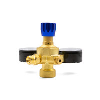 Oxygen | Mapp Gas Disposable Bottle Regulator Combo