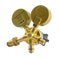 5 Meter Acetylene Kit with Hose, Oxygen and Acetylene Regulator