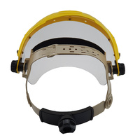 Brow Guard with 2mm Clear Lens Shield - Head and Face Protection 