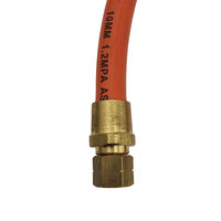 LPG Hose with Fittings - 10mm - 5 Meter