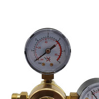 Co2 Side Entry Regulator with Bobbin Flow Meter