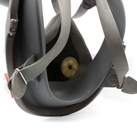 3M 6851 Spray/paint Full Face Respirator Kit - Large