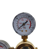 Co2 Side Entry Regulator with Bobbin Flow Meter