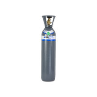 Nitrogen D Size Gas Cylinder - No Rental Fee